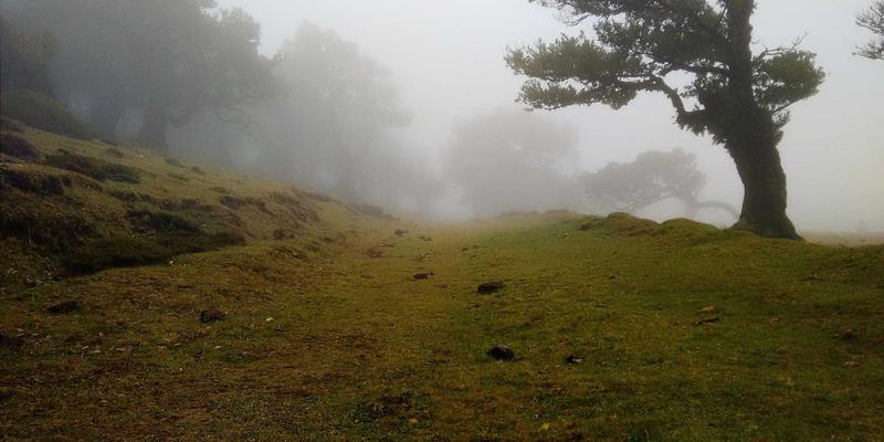 买到假货或过期食品别忍气吞声!律师教你:如何通过法律咨询成功主张'退一赔三'或'退一赔十'
