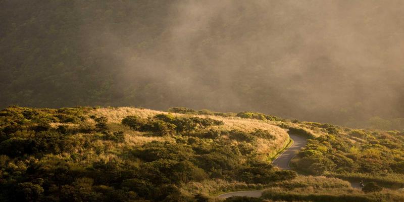 公司拖欠工资怎么办？律师教你三步收集关键证据，高效申请支付令维权