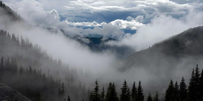 初创公司股权架构设计：守护创始人公民权益的法律咨询指南