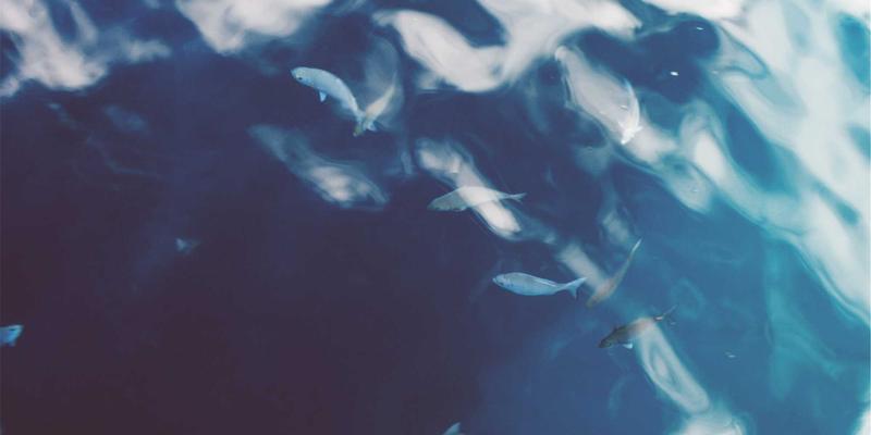 收到知识产权侵权警告函怎么办？三步法律咨询策略助企业化解危机