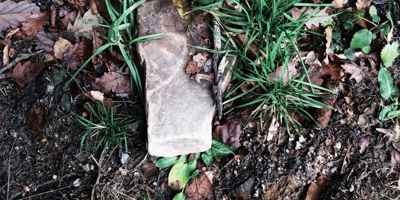 网购遇陷阱？别慌！律师教你四步取证，成功维权拿回损失