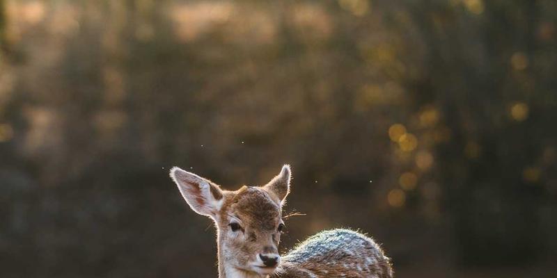 跨境电商法律风险全解析：从税务合规到消费者权益，守护你的出海之路